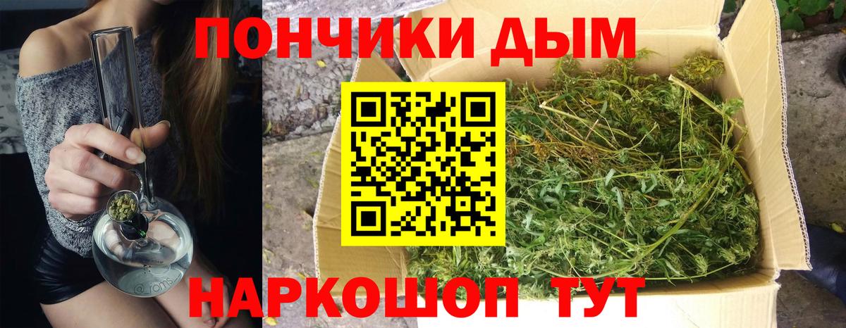 Бошки Шишки THC 21% Златоуст